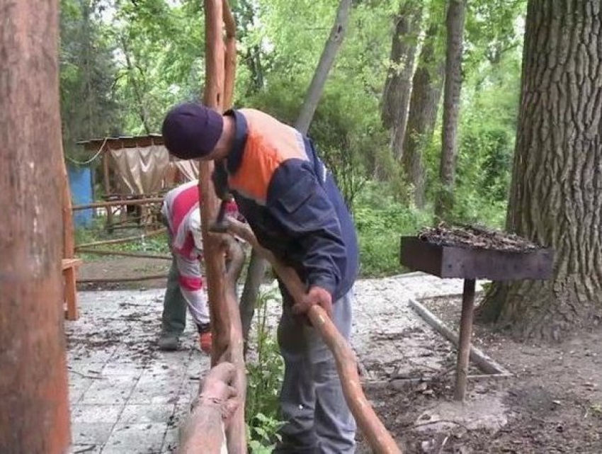 Владелец кафе устроил скандал из-за сноса беседок в парке на Рышкановке