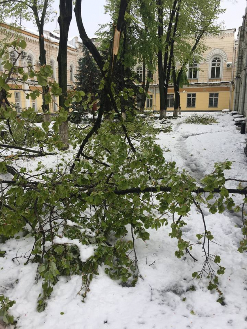 Текущая ситуация в Кишиневе: как обстоят дела с общественным транспортом, расчисткой дворов и отоплением 