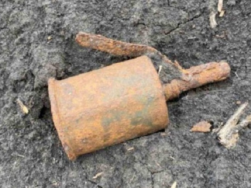 В Чимишлийском районе мужчина нашел гранату времен ВОВ прямо в поле, в котором работал