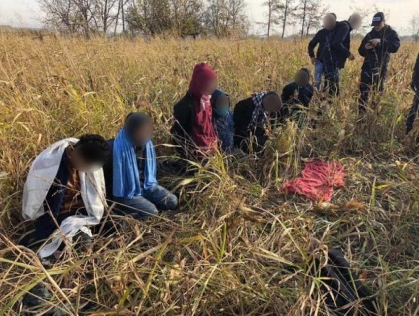 Мигранты из Бангладеш пытались проникнуть в ЕС через Молдову 