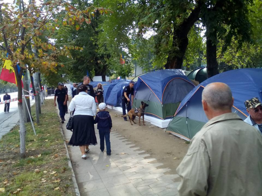Городок Победы обыскали полицейские с собаками 