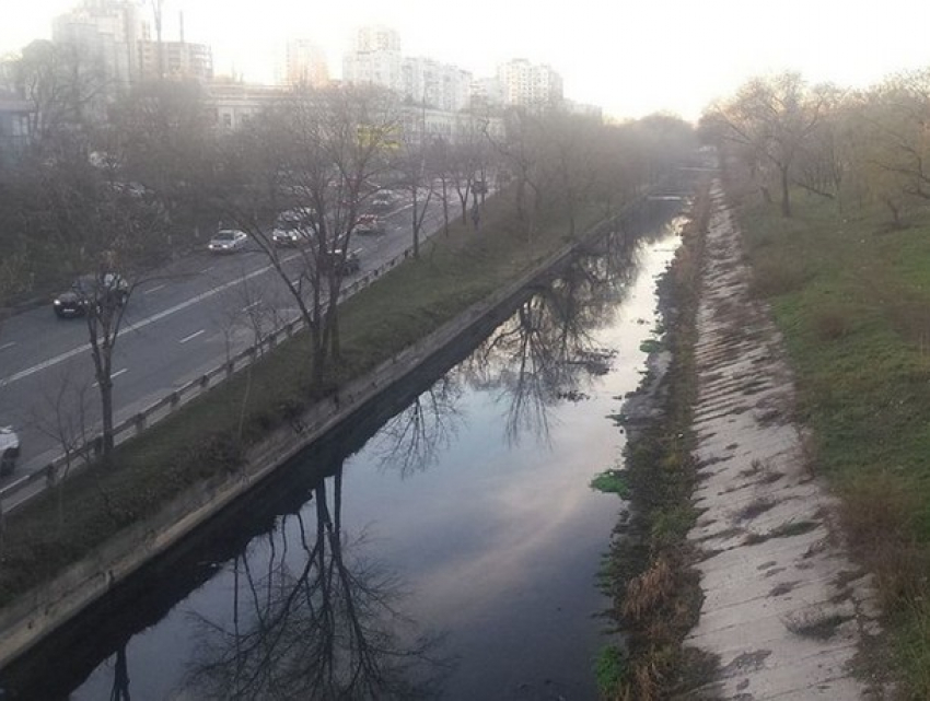 Страшная находка в реке Бык в Кишиневе