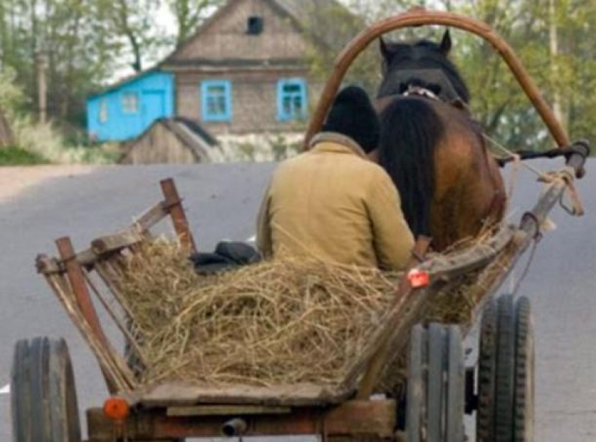 20-летний парень на BMW врезался в повозку, убив ребенка