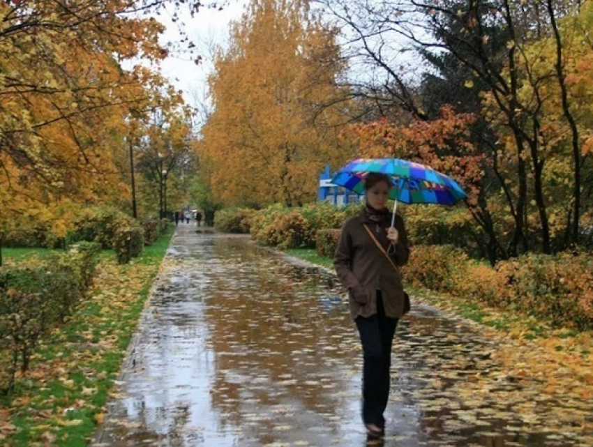 Обложные дожди с сильным ветром и заморозками обрушатся в выходные на Молдову