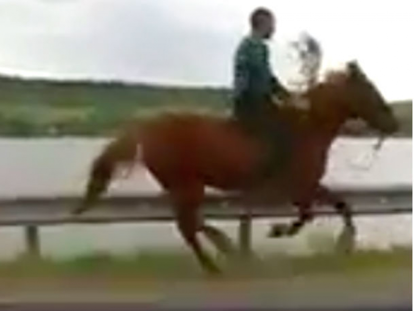 К любимой на коне с цветами: принца ХХI века на дороге в Леово сняли на видео