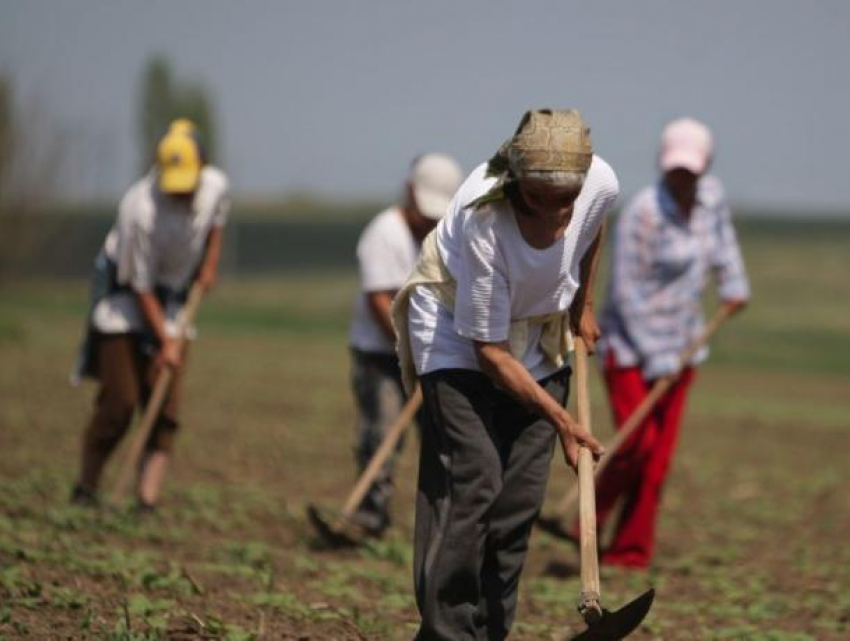 Аграрный сектор будет модернизирован