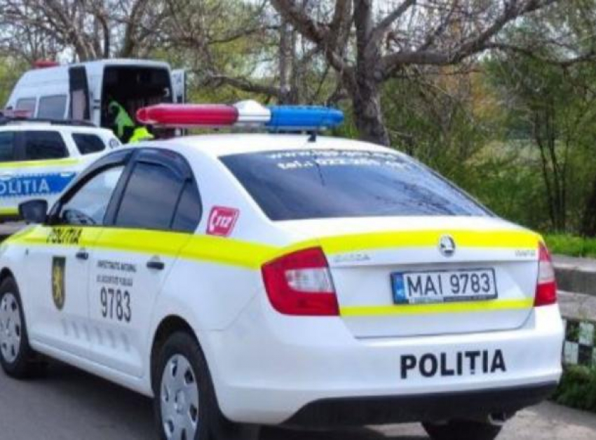 В Страшенах мужчина зарезал дочь после того, как она избила стулом по голове родную мать