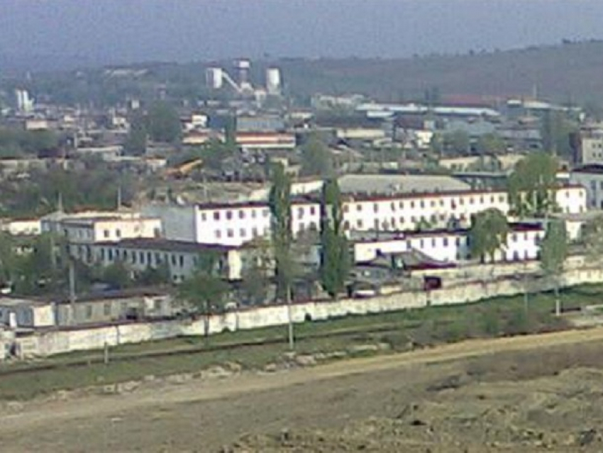 В Прункул зеки выращивают петухов и других птиц