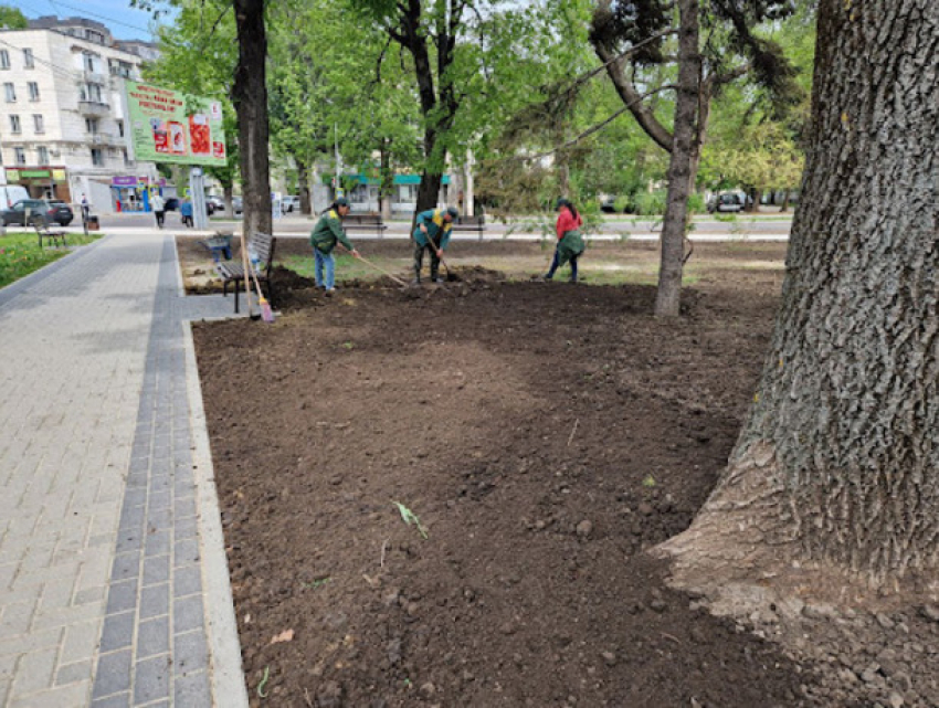 Субботнее ограничение в Кишиневе: ул. Рэдэуцану закроют до вечера