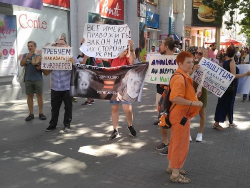Митинг в поддержку самых беззащитных прошел в Кишиневе
