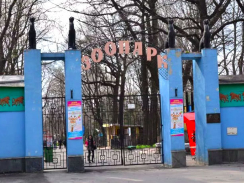 Молодой человек, получивший в зоопарке Харькова переломы костей таза и плеча, ушел из жизни