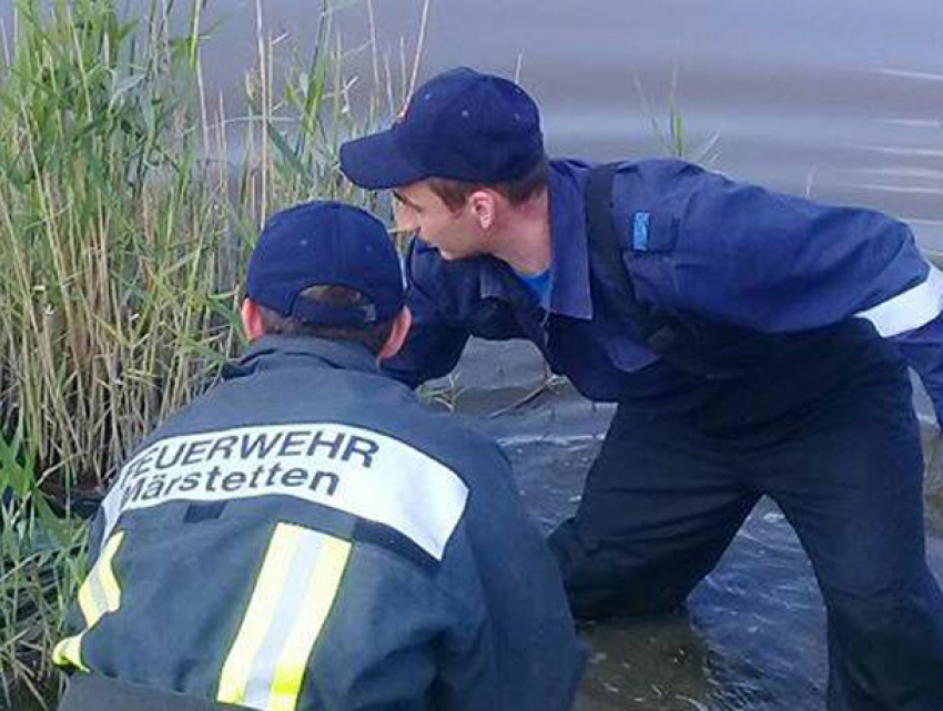 Тело молодого мужчины обнаружили в реке в Сынжерее