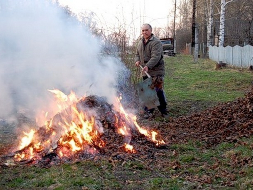 Власти решили штрафовать граждан за сжигание опавших листьев