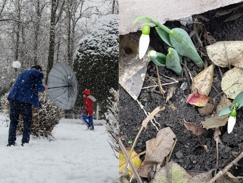 В Иране снег, в Молдове – подснежники: погода на вторник