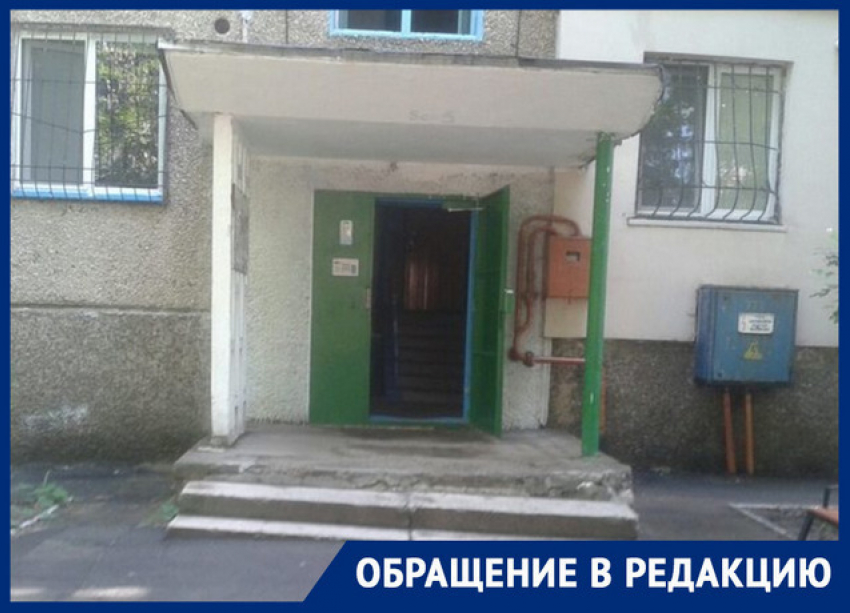 Жителей жилой многоэтажки в Кишиневе терроризируют … блохи