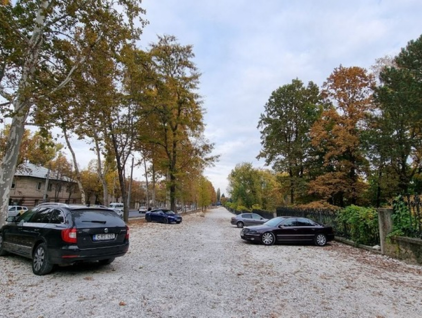 Общественная парковка возле парка «Дендрарий» временно выложена щебнем