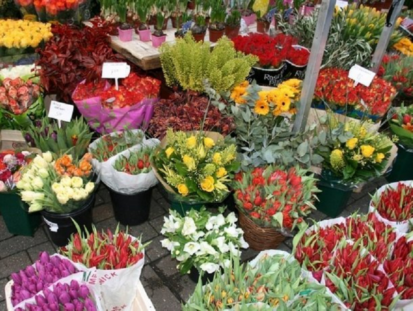 Налоговики займутся проверкой цветочных рынков к 1 сентября