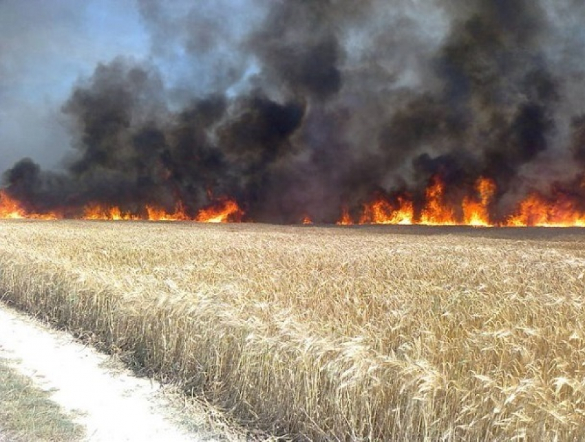 Удар молнии спровоцировал масштабное бедствие на пшеничном поле в Штефан-Водском районе 