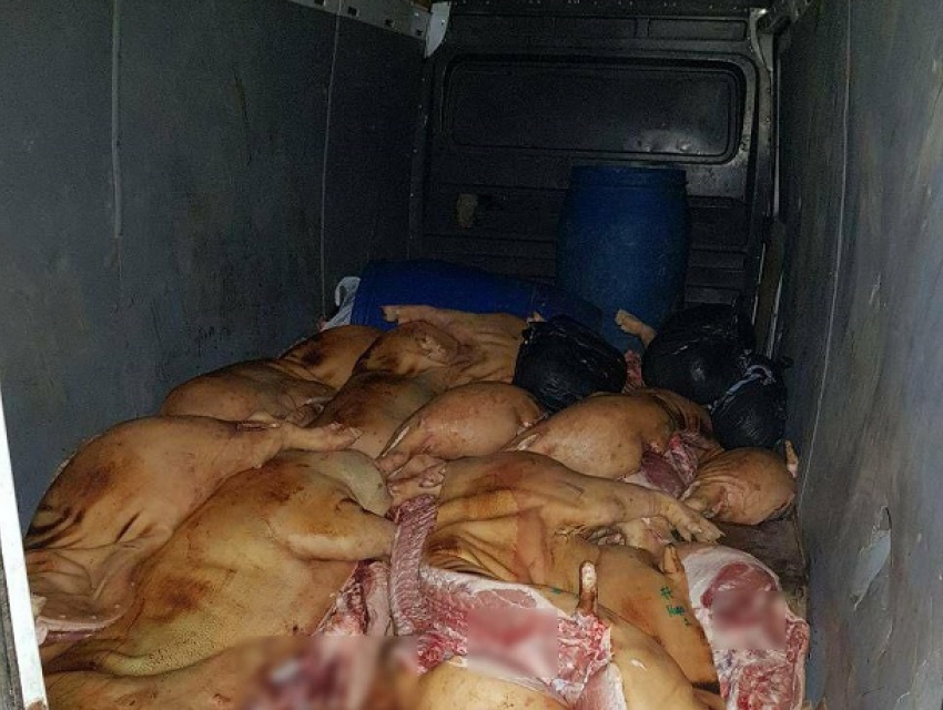 Десятки говяжьих и свиных туш сомнительного происхождения попытались провезти в центр Кишинева четыре водителя