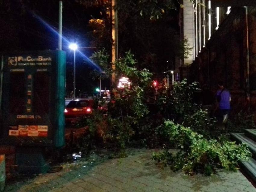 Протараненное BMW дерево рухнуло на автомобиль у здания правительства в Кишиневе