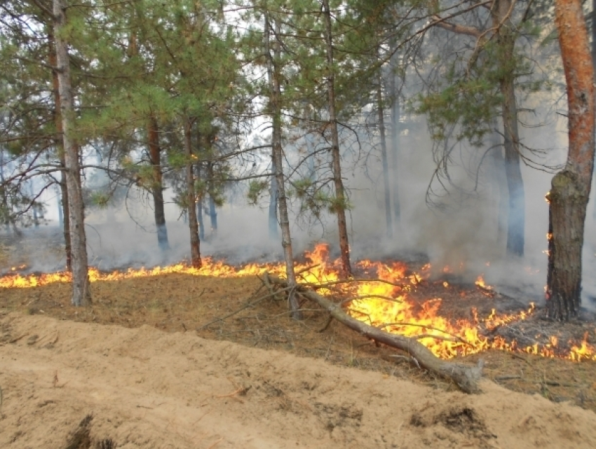 В Молдове сохраняется чрезвычайная опасность пожаров: погода на четверг