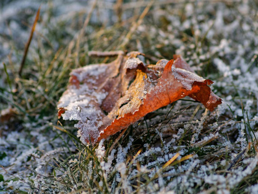 В четверг в Молдове будет пасмурно и холодно
