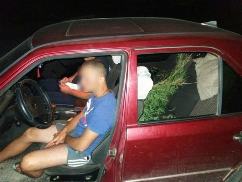 Нагло везущих коноплю на заднем сидении машины парней задержала полиция в Оргееве