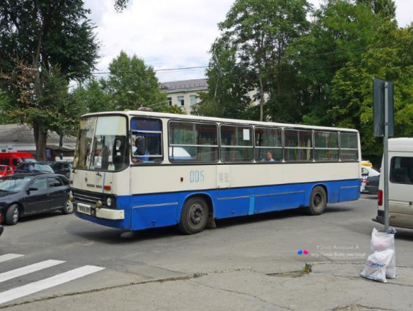 Дождались: Столица планирует приобрести новые автобусы