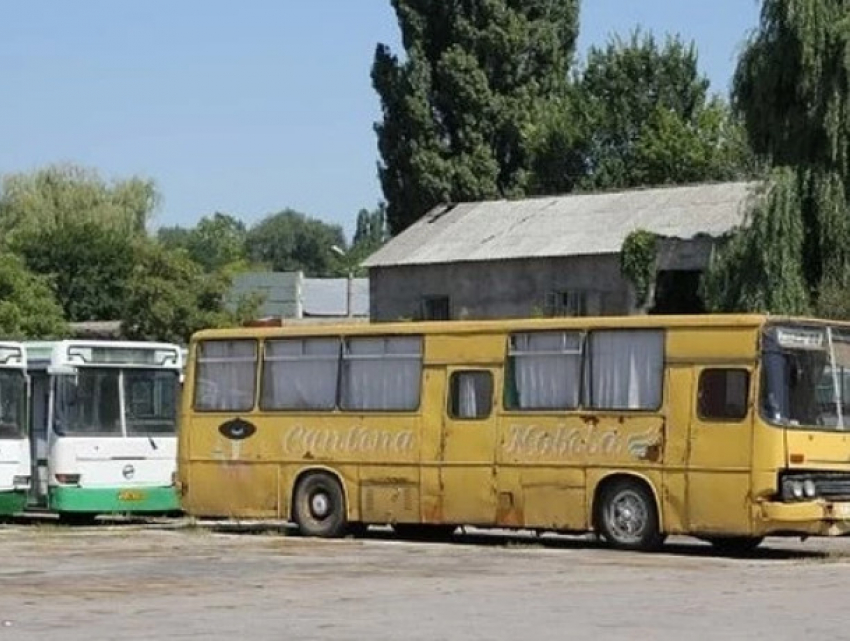 Почти 70% автобусного парка Молдовы используется нелегально