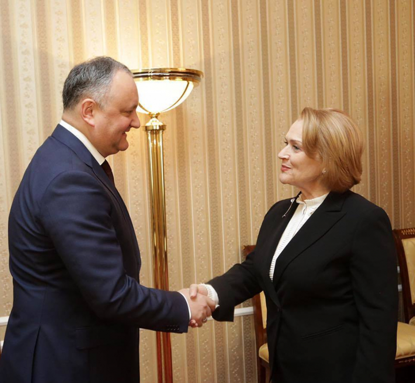 Президент встретился с председателем группы Парламентской ассамблеи ОБСЕ по Молдове 