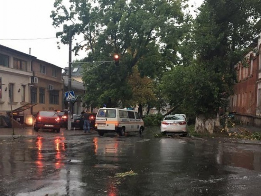 Раненая упавшим деревом жительница Кишинева находится в реанимации