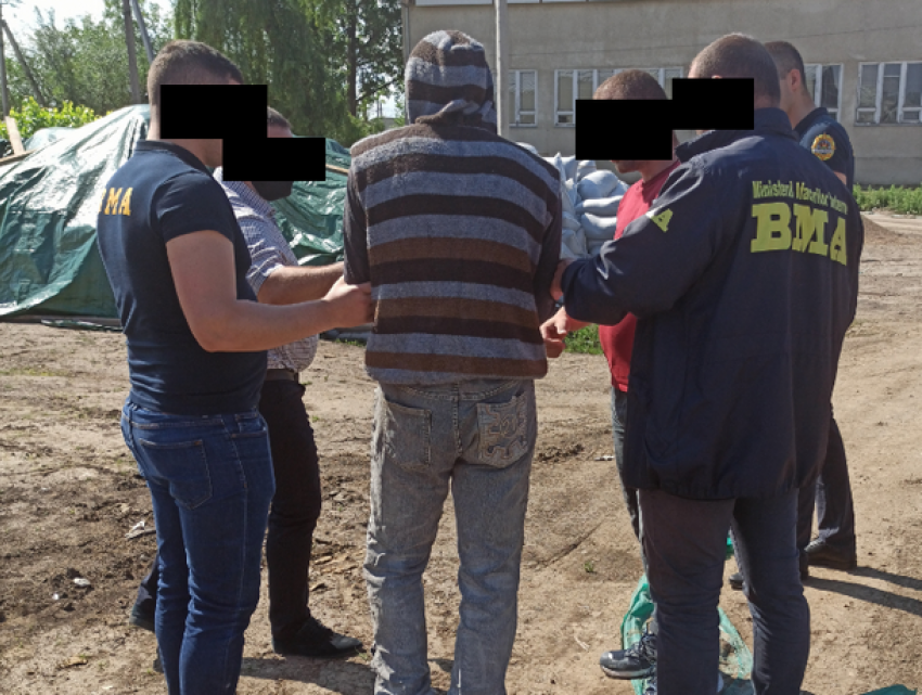 На юге Молдовы обнаружили нелегальных рабочих из Украины