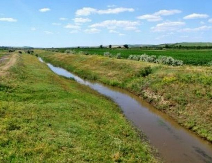 Moldsilva засадит берега молдавских рек деревьями для их укрепления