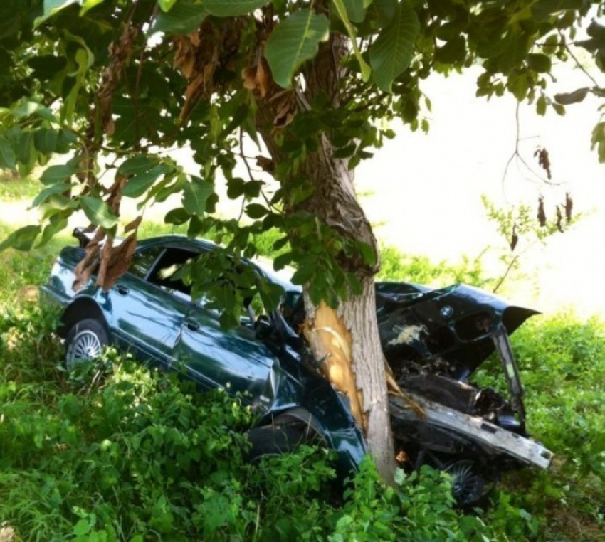 В Сынжере BMW после столкновения влетел в дерево