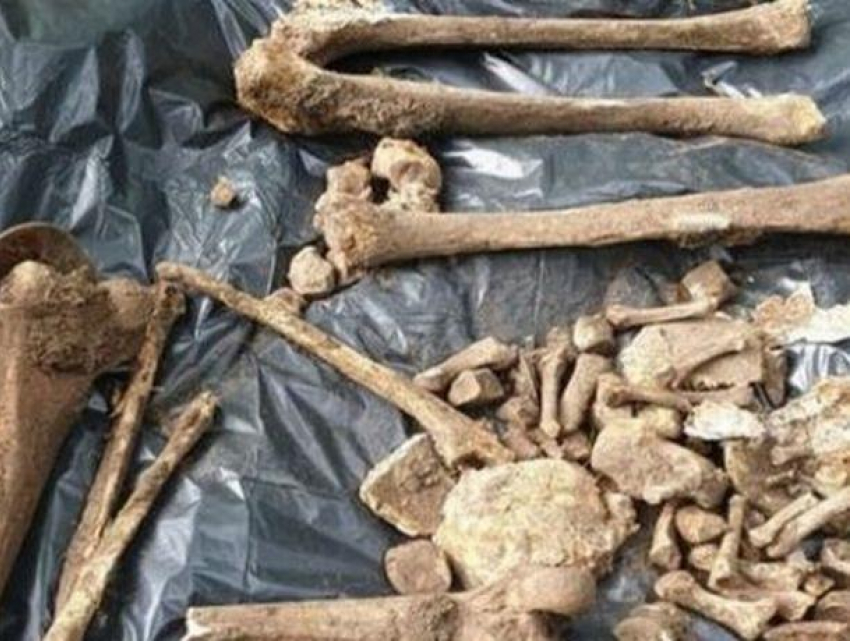 Под Яссами найдена ещё одна братская могила убитых во время Холокоста румынскими карателями евреев