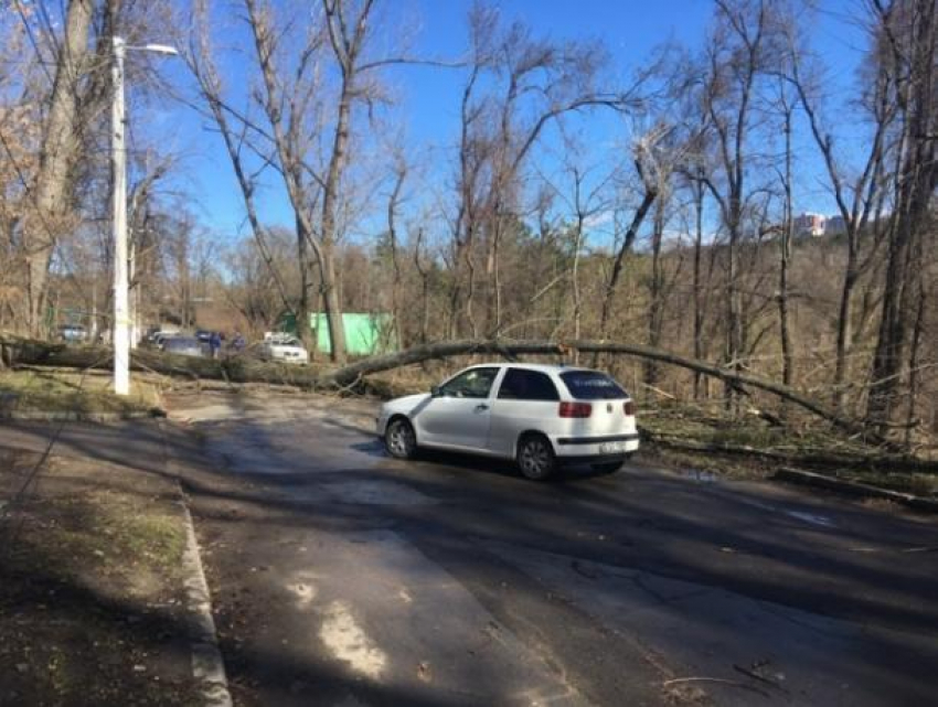 Одна из столичных улиц оказалась полностью заблокированной из-за поваленных деревьев