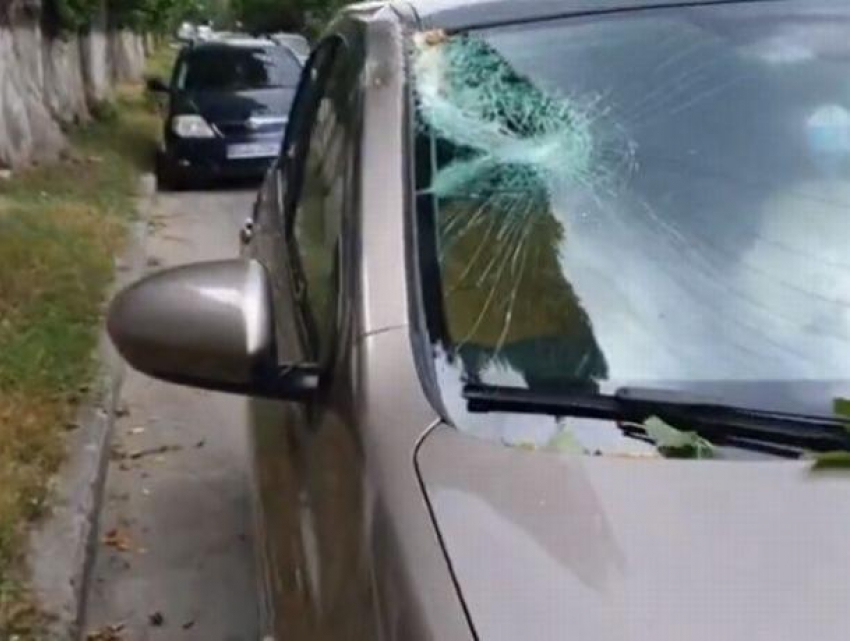 В Кишиневе упавшая ветка разбила лобовое стекло двигавшегося автомобиля