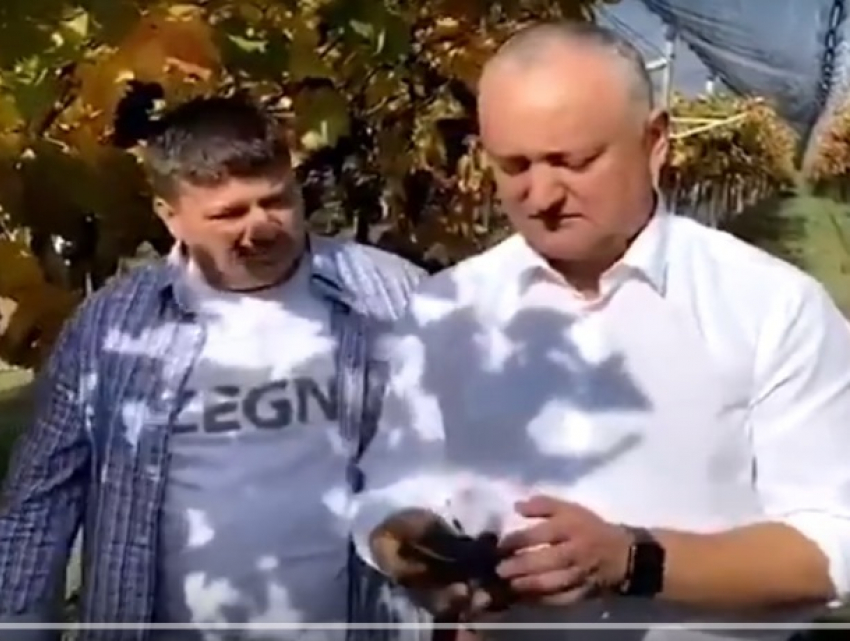 Игорь Додон по-русски обратился к россиянам, призвав их покупать молдавский виноград