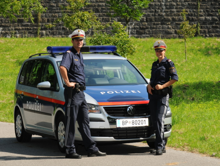 Уроженцы Молдовы участвовали в преступной группе в Австрии