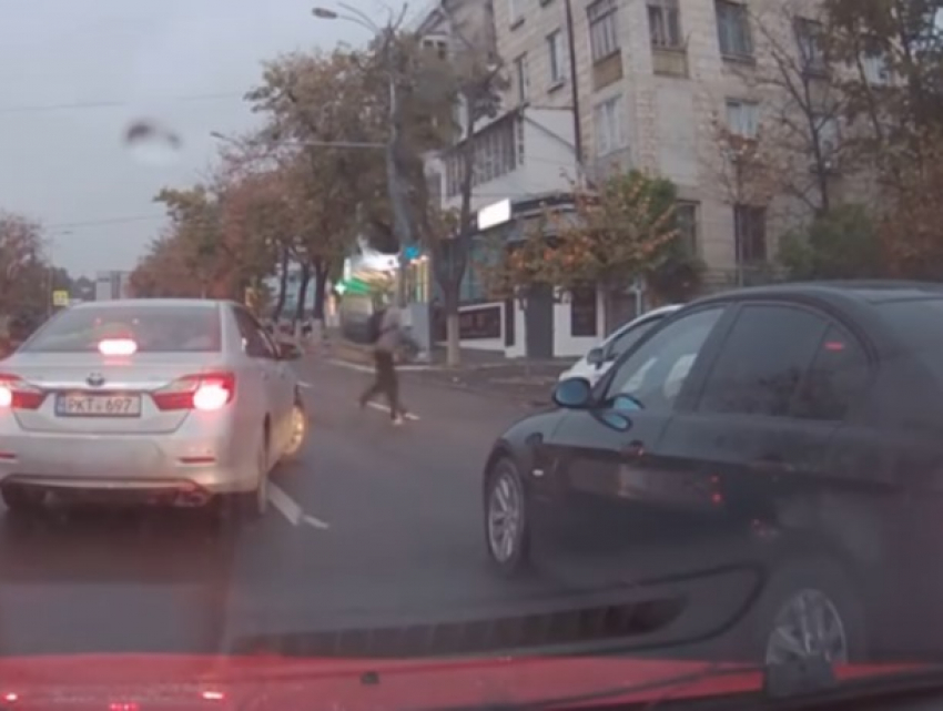 В Кишиневе мужчина спас котенка из-под колес автомобиля