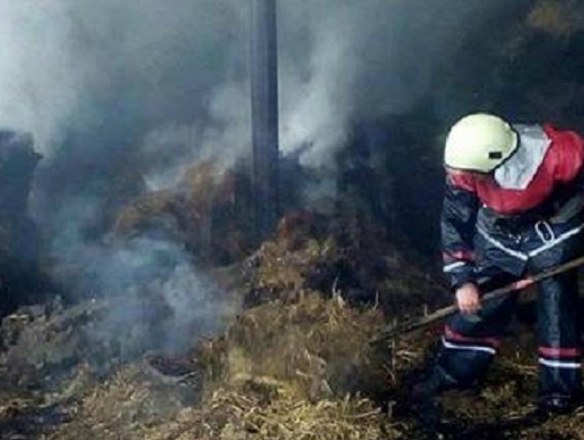 Гибель в огне 250 коров предотвратили пожарные в Теленештском районе