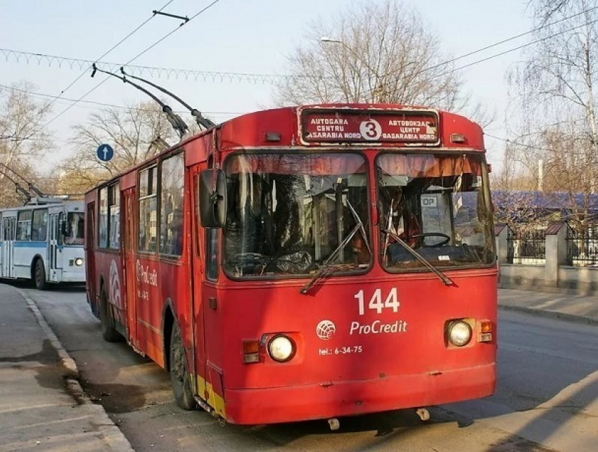 Кровососущие насекомые атаковали людей в троллейбусах Бельц