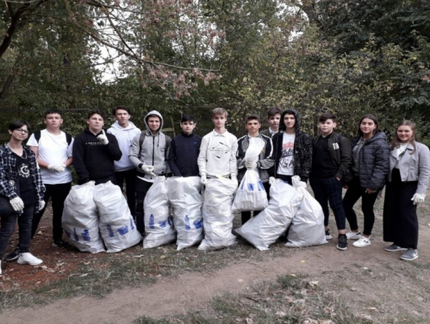 Накануне Дня города волонтеры занялись наведением порядка