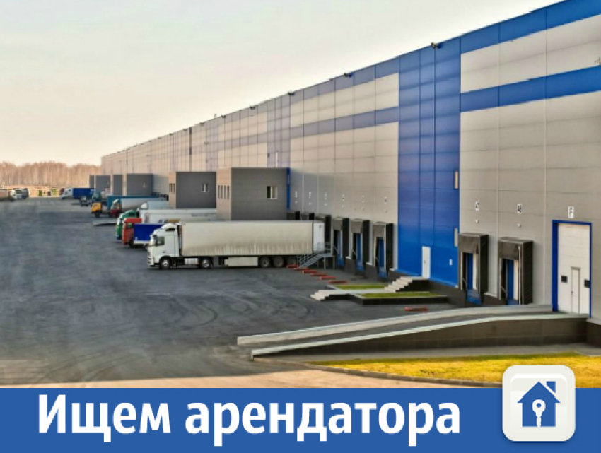 Ищем серьезного арендатора на долгосрочной основе