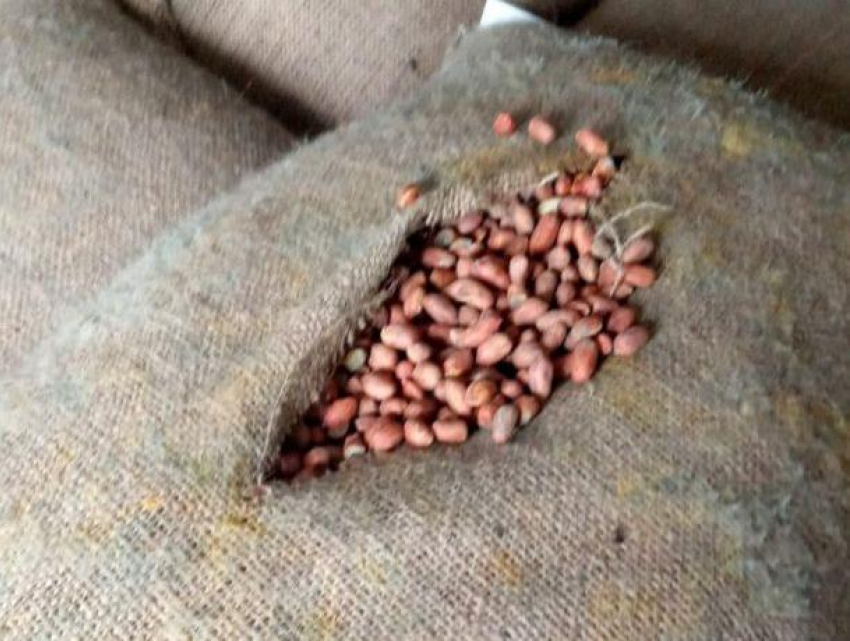ANSA «тормознула» импорт 26 тонн гнилого арахиса в Молдову