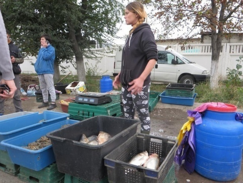 Неуловимый «полицейский» организовал незаконную торговлю рыбой и раками в Кишиневе