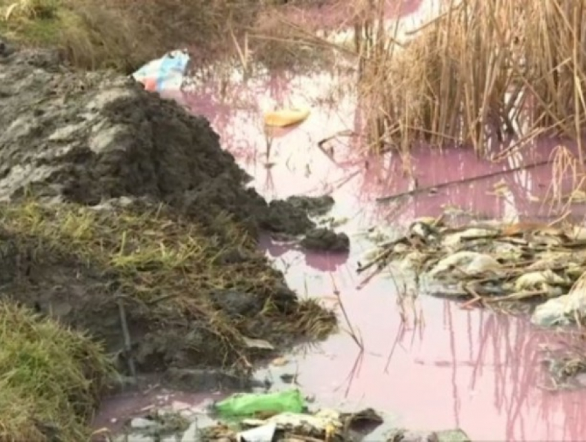 Река Ялпуг окрасилась в розовый цвет и стала зловонной