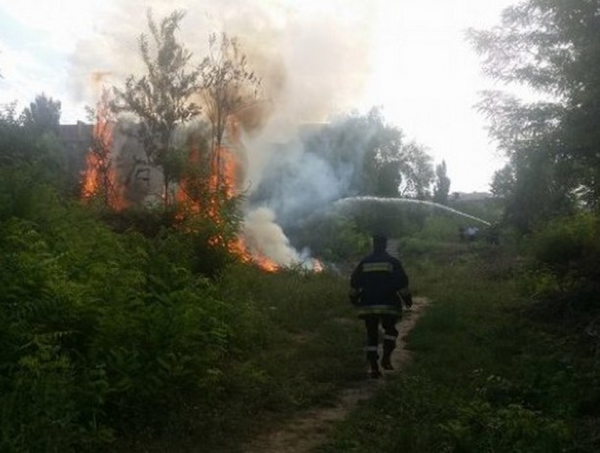 Масштабный пожар у торгового центра в столице сняли на видео 