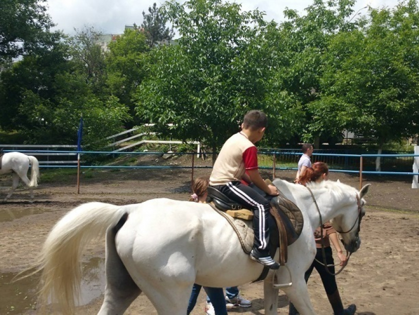 Республиканской конно-спортивной школе благодаря ПСРМ вернули участок земли