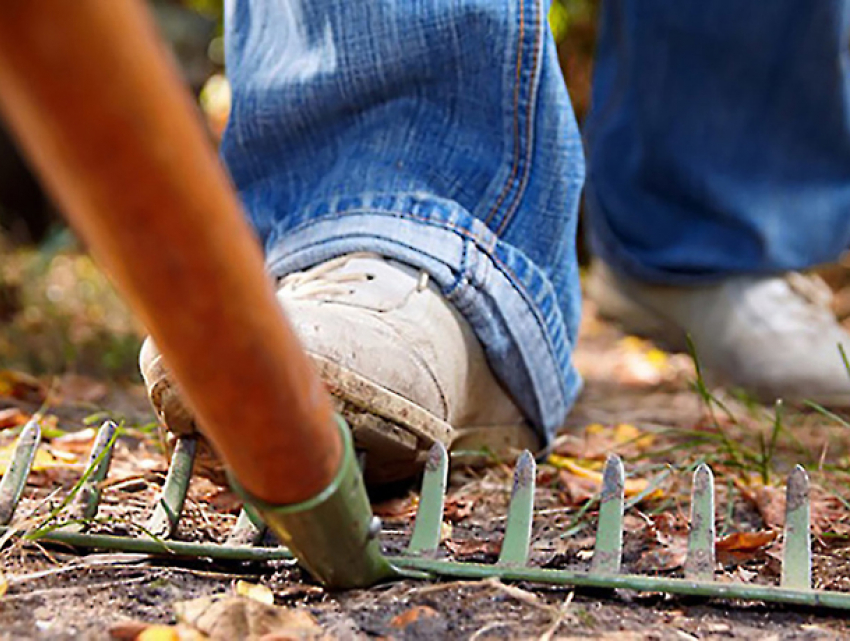 Мужчина превратил грабли в страшное орудие и изувечил женщину в Приднестровье 